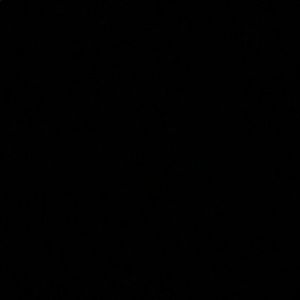 Meet your Posher, Monique